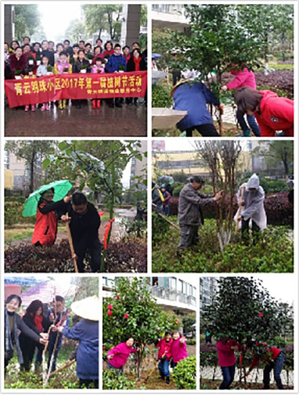 播一片綠林，種一份愛心